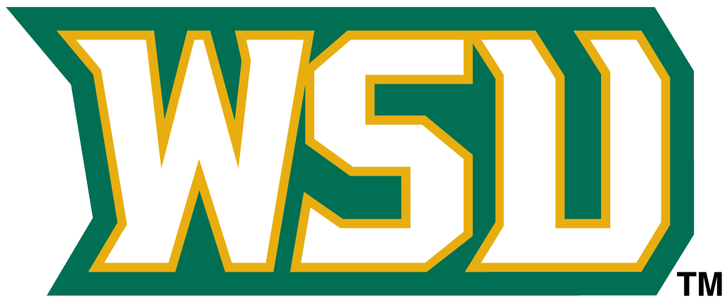 Wright State Raiders 2001-Pres Wordmark Logo v4 diy iron on heat transfer